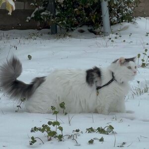 Meet your Posher, Yesenia